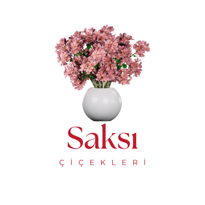 Saksı Çiçekleri