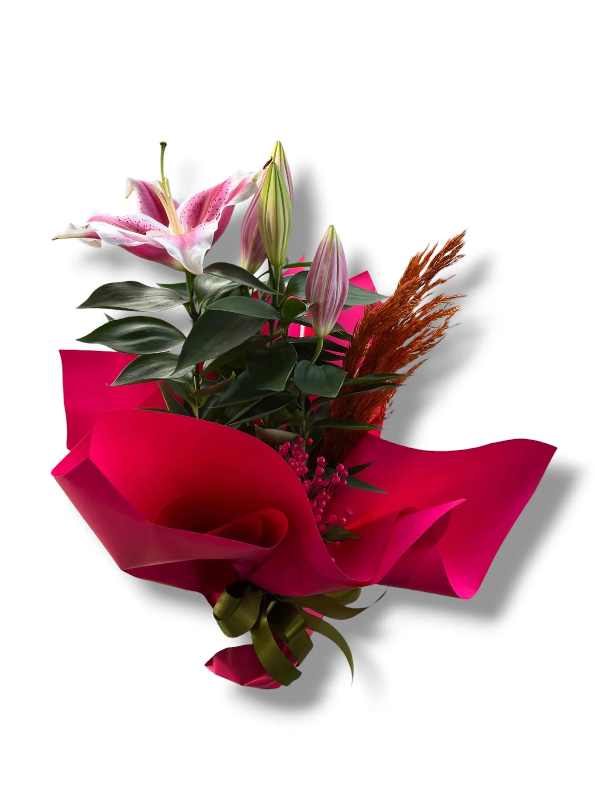 Saksıda Canlı Pembe Lilyum (Zambak)